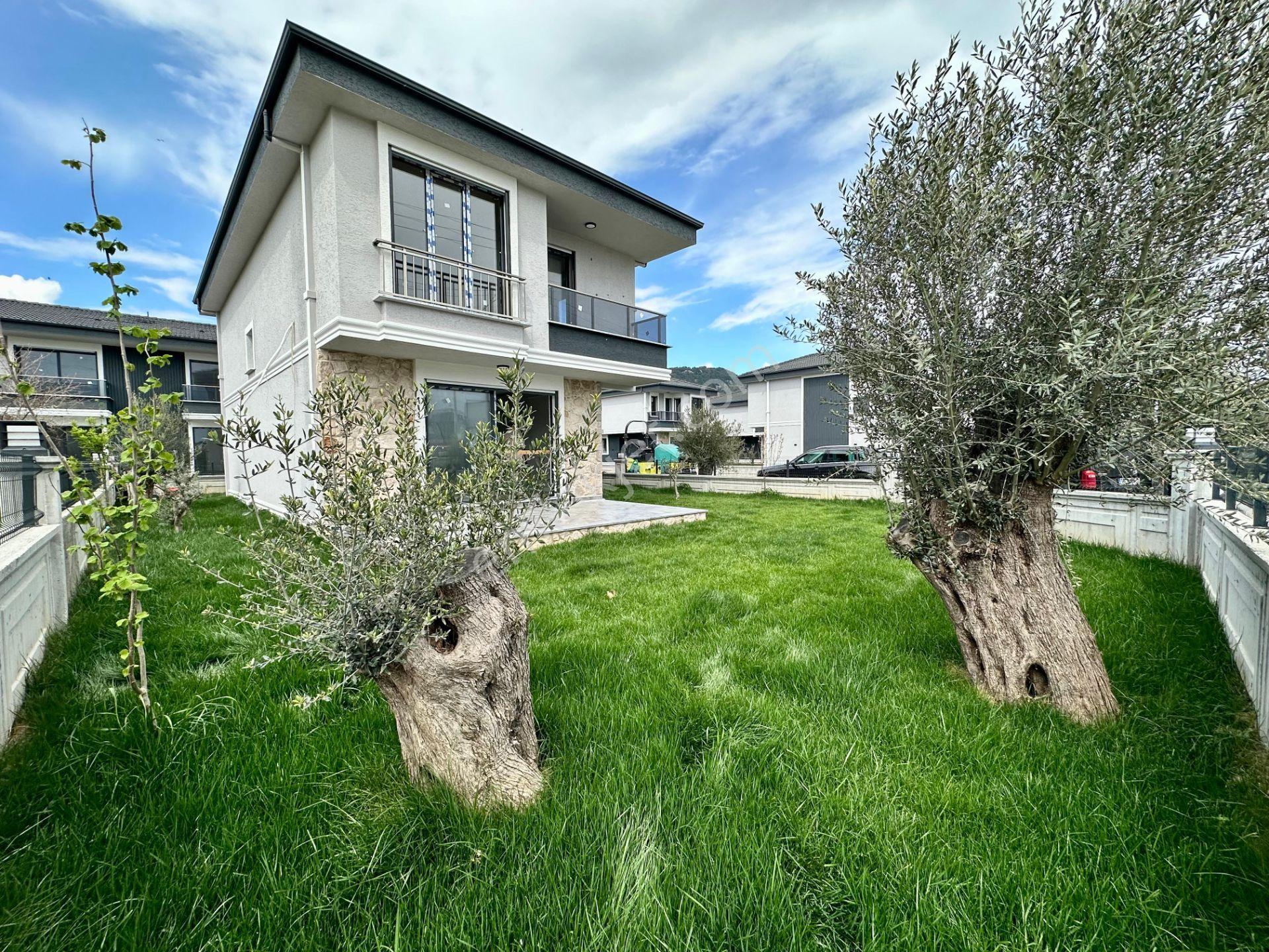 ꧁ay Emlaktan꧂küçükkuyu'da Denize Sadece 50 Metre Yüzme Havuzlu 3+1 Müstakil Villa - Görsel 2