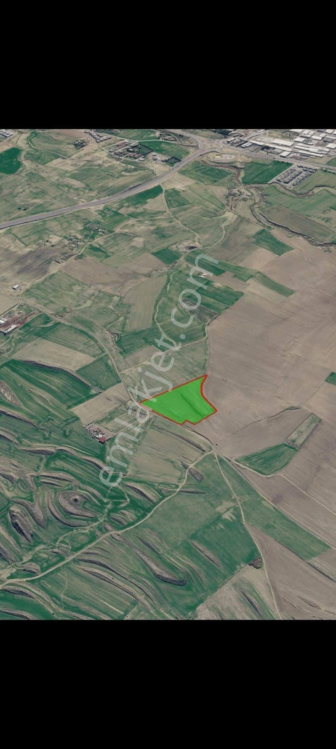 Kıbrısta Satılık Yatırmlık Türk Tapulu Tarla