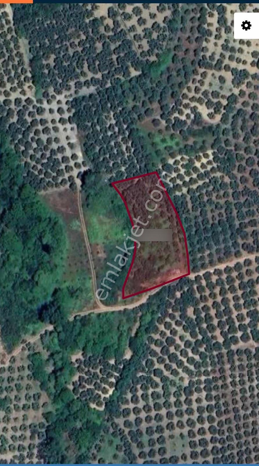 Mudanya Yalıçiftlik 149 M2 Hisse - Görsel 7