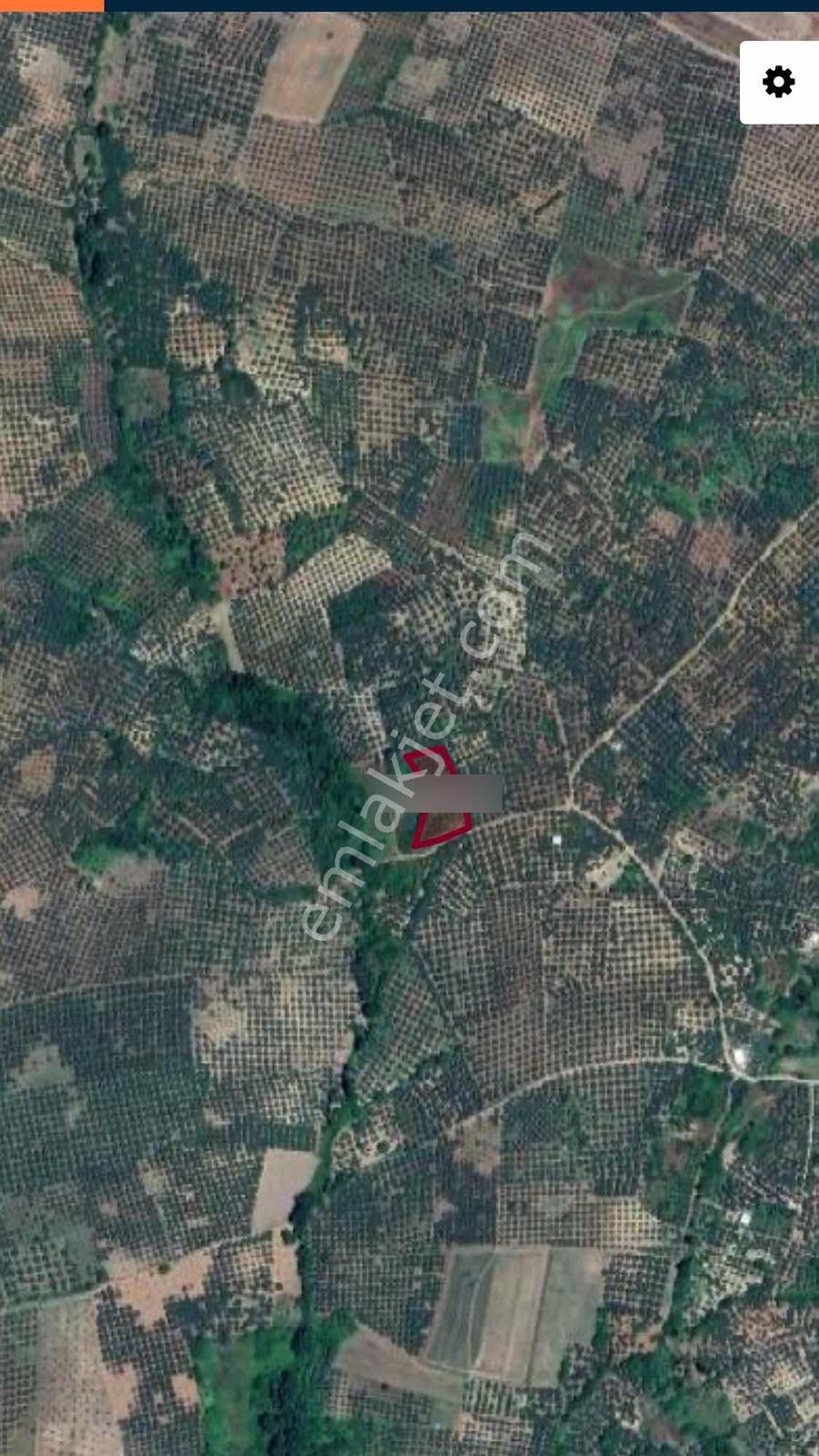 Mudanya Yalıçiftlik 149 M2 Hisse - Görsel 5