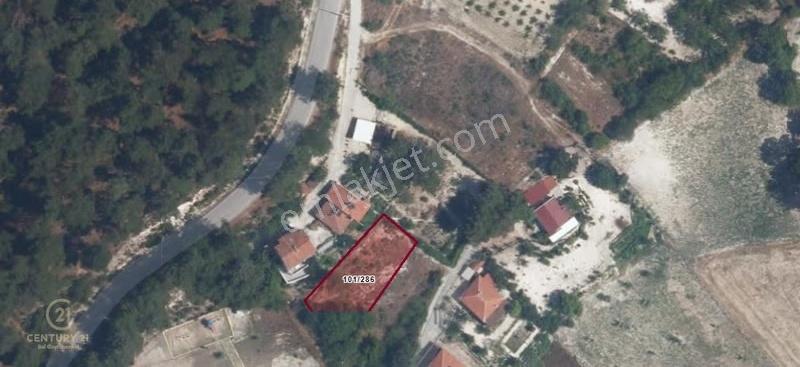 C21 Bal'dan Konakpınar'da Satılık İki Katlı İmarlı Köy Arsası - Görsel 2