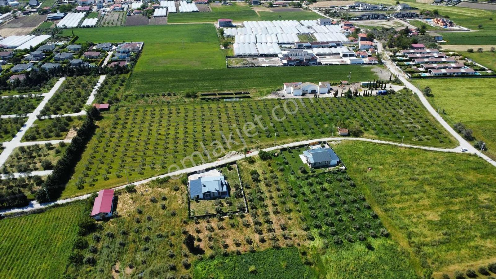 İzmir Urla Kuşçular Satılık 16.870 M2 Köy İçi İmarlı Tarla - Görsel 5