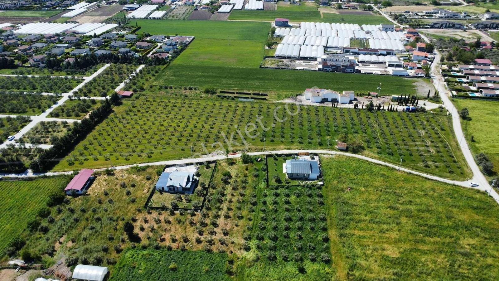 İzmir Urla Kuşçular Satılık 16.870 M2 Köy İçi İmarlı Tarla - Görsel 3