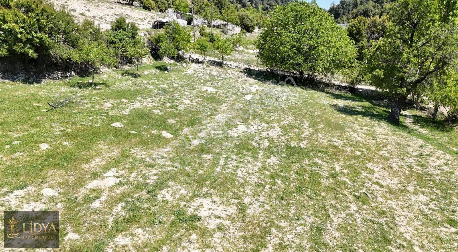 Güzeloluk'ta 4.200 M2 Arsa Ve 2 Katlı Satılık Müstakil Taş Ev - Görsel 12