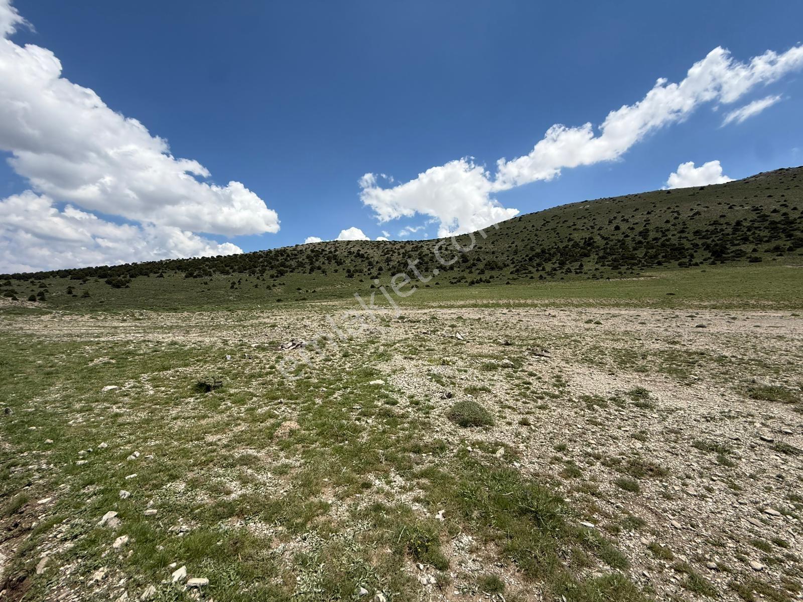 Niğde Ulukışla Kılanda Yol Üzeri/tek Tapu/18.230m2/göl Manzaralı - Görsel 17