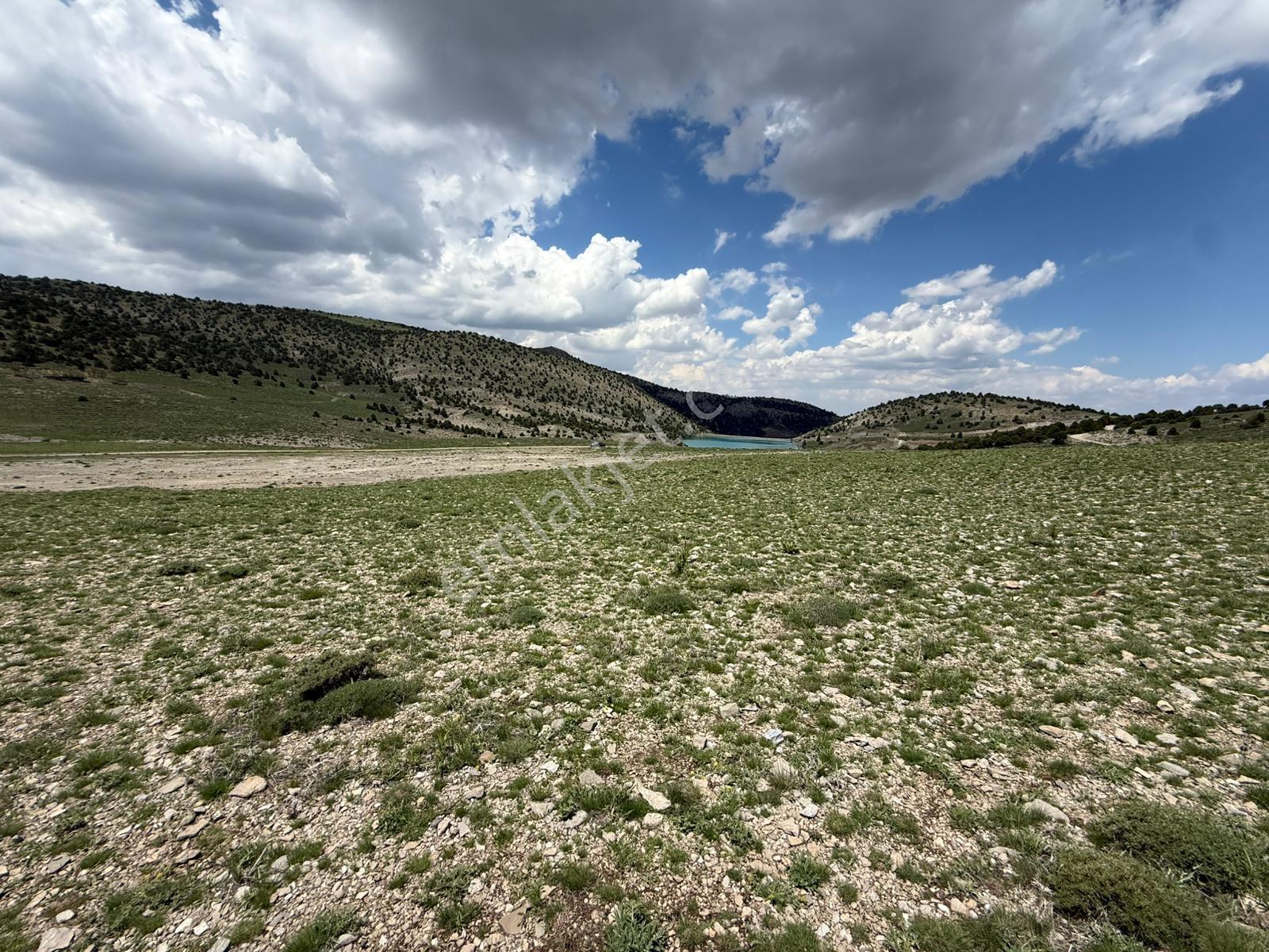 Niğde Ulukışla Kılanda Yol Üzeri/tek Tapu/18.230m2/göl Manzaralı - Görsel 5