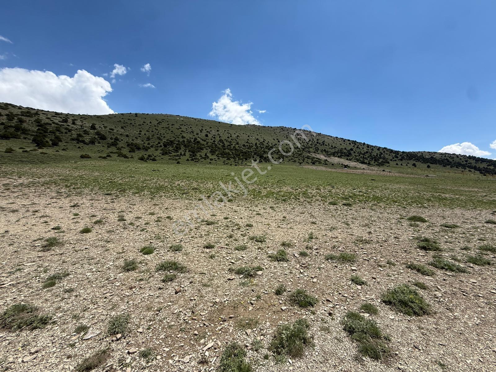 Niğde Ulukışla Kılanda Yol Üzeri/tek Tapu/18.230m2/göl Manzaralı - Görsel 7
