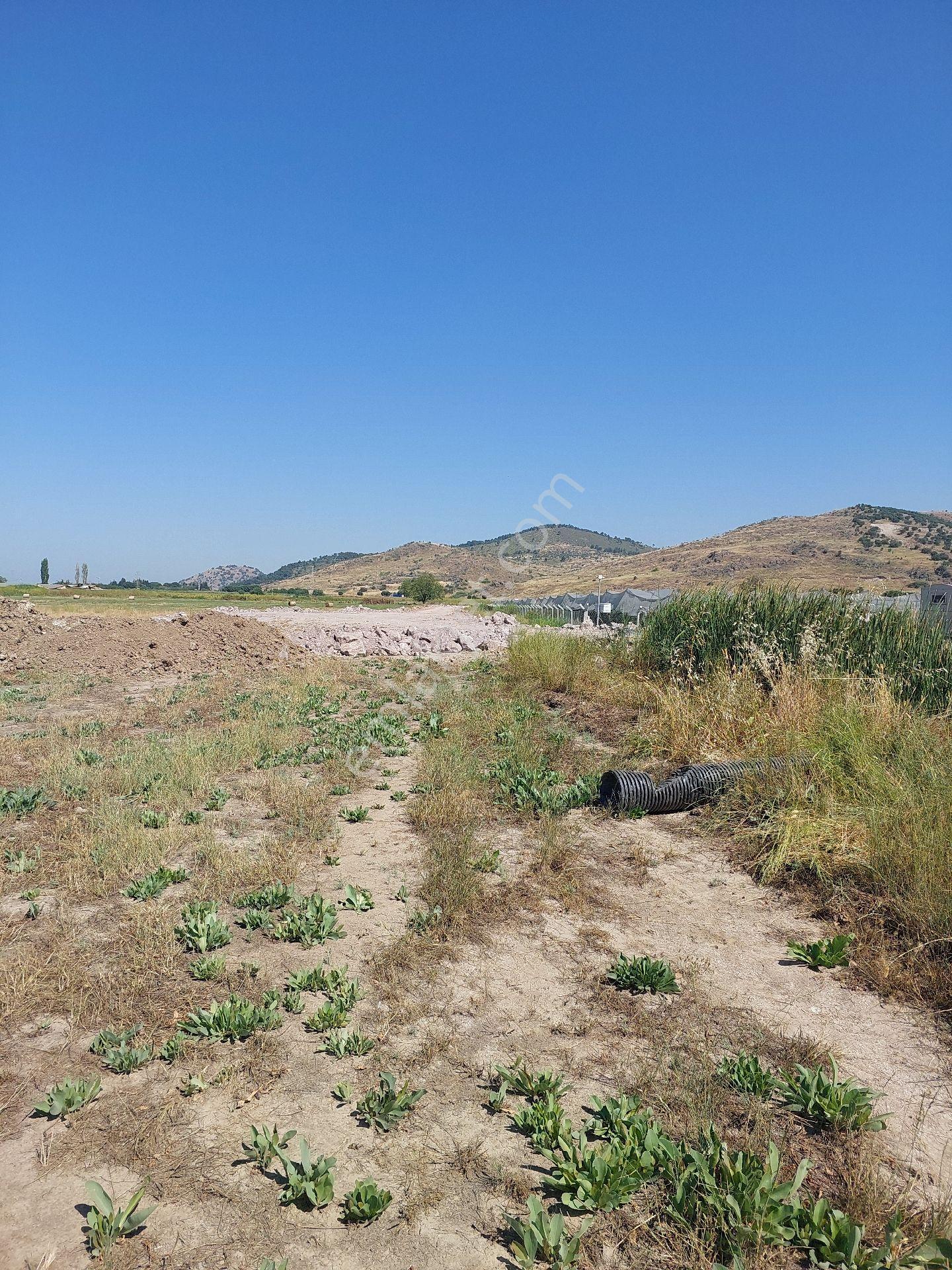 İzmir Dikili Seracılık _tsb_ Bölgesinde Satılık 65_bin_m2 Tarla - Görsel 27