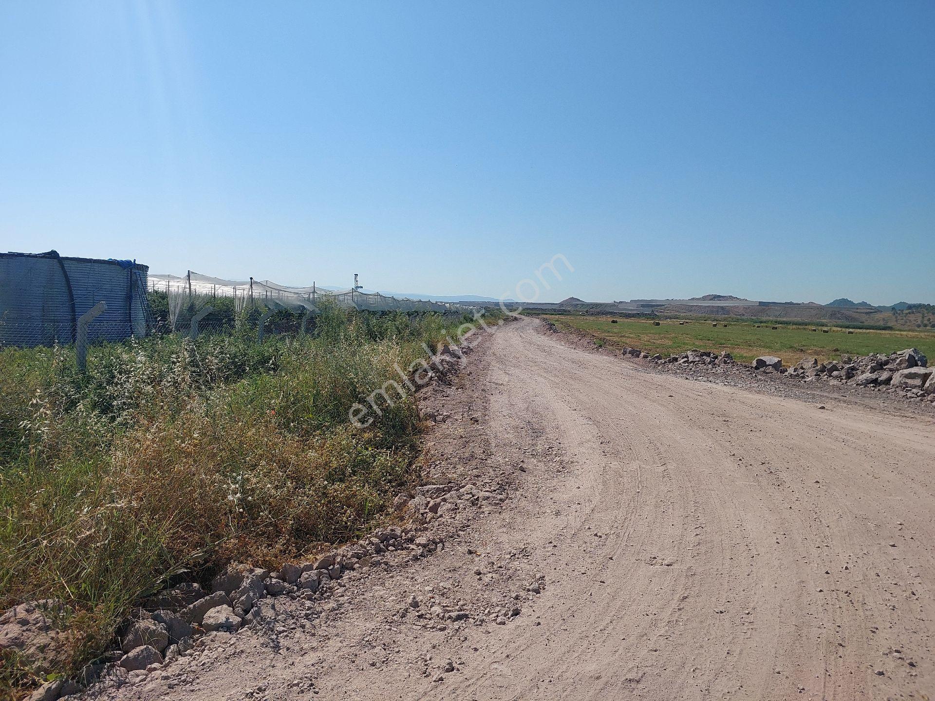 İzmir Dikili Seracılık _tsb_ Bölgesinde Satılık 65_bin_m2 Tarla - Görsel 3