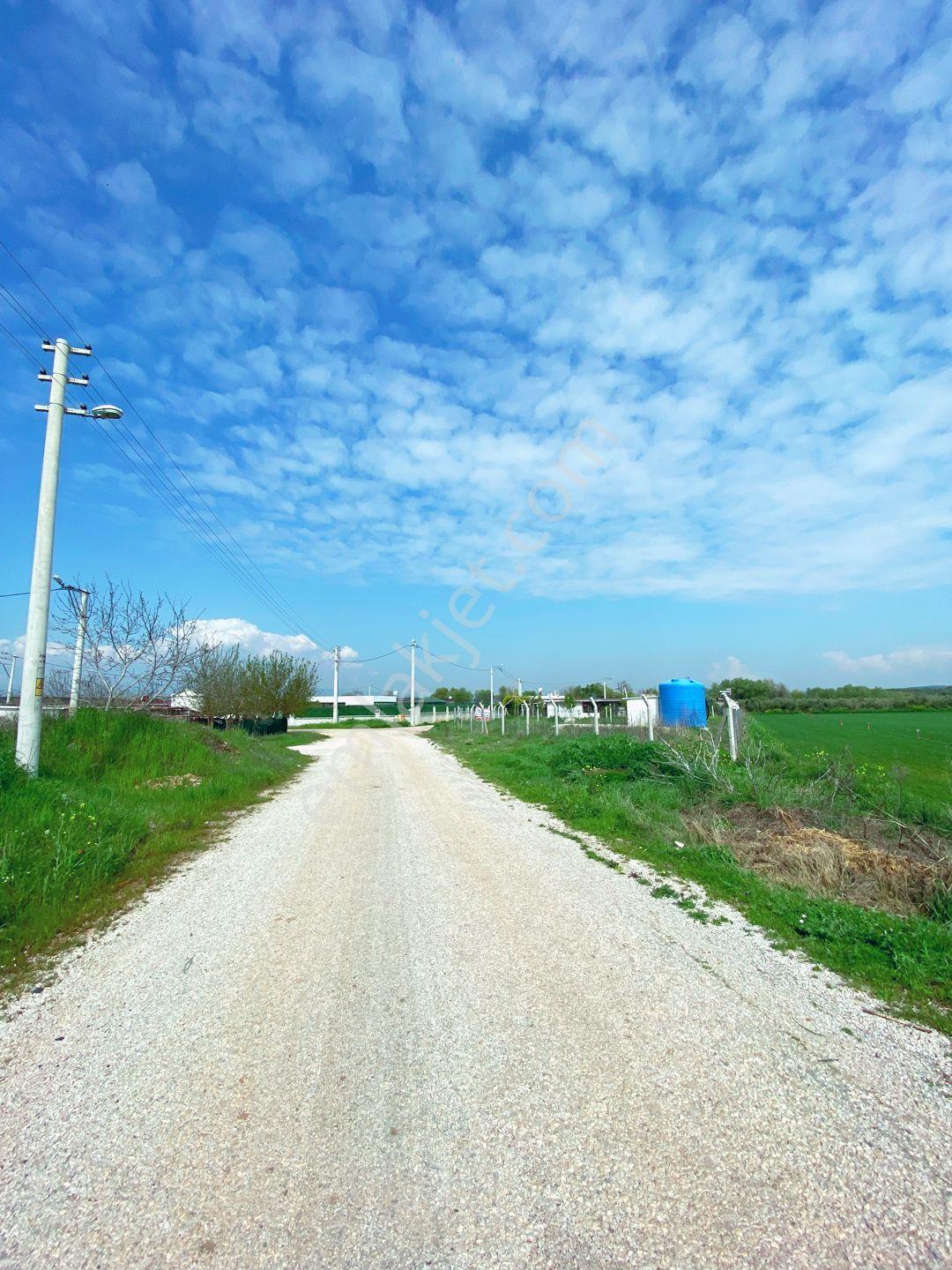 Mendereste Net 500 M2 Yapı Kayıt Belgeli (açıklamayı Okuyun)