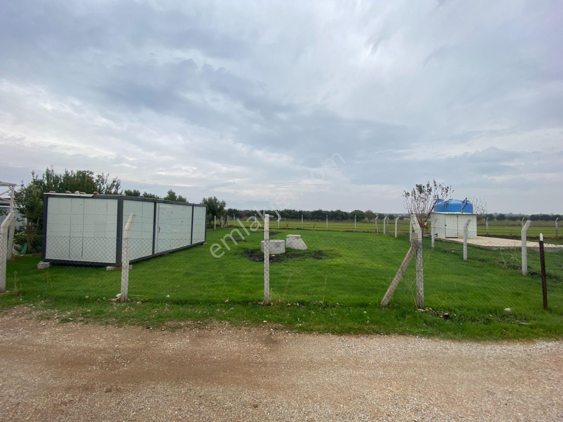 Mendereste Net 500 M2 Yapı Kayıt Belgeli (açıklamayı Okuyun) - Görsel 5