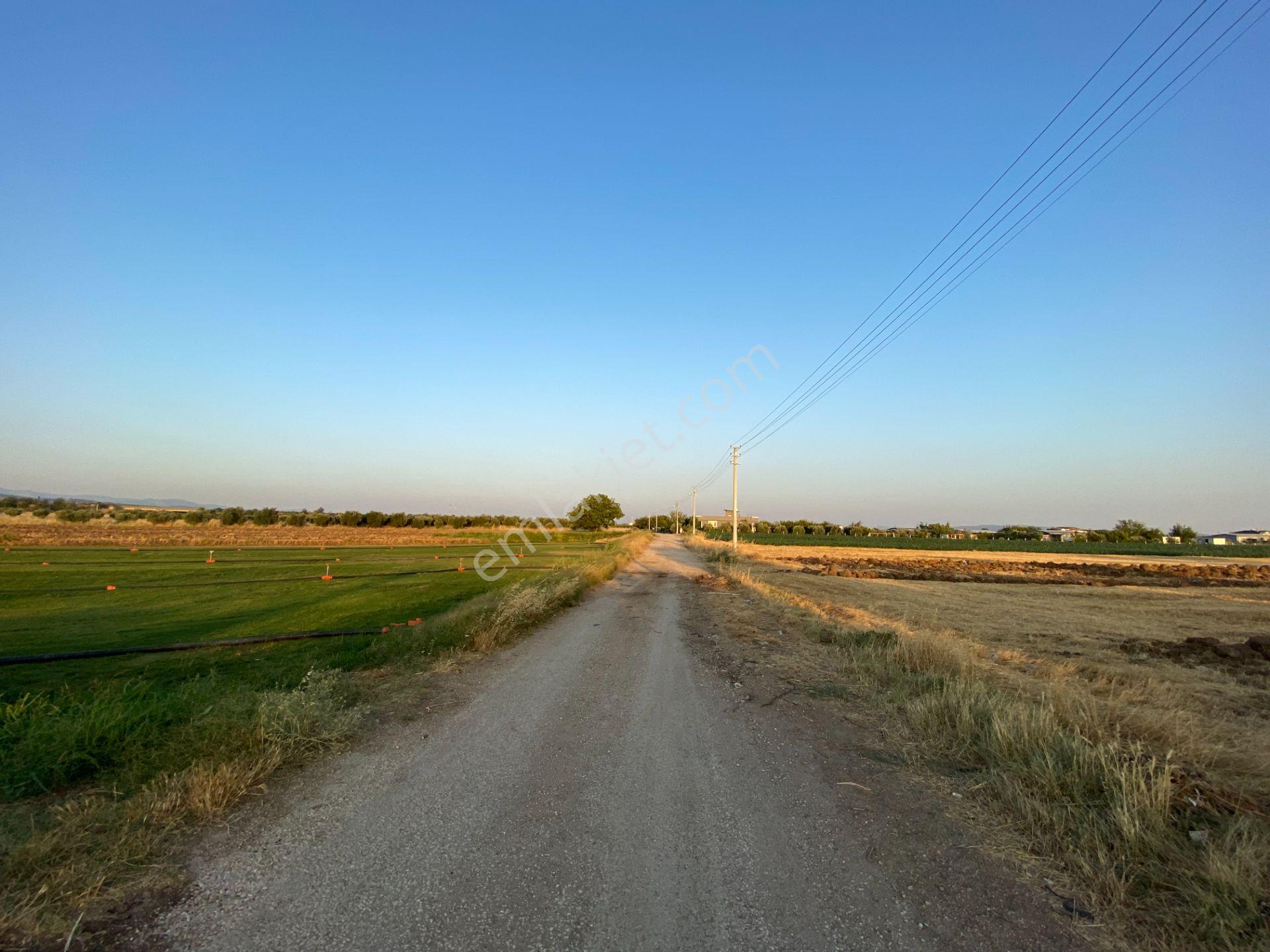 Mendereste Net 500 M2 Yapı Kayıt Belgeli (açıklamayı Okuyun) - Görsel 3