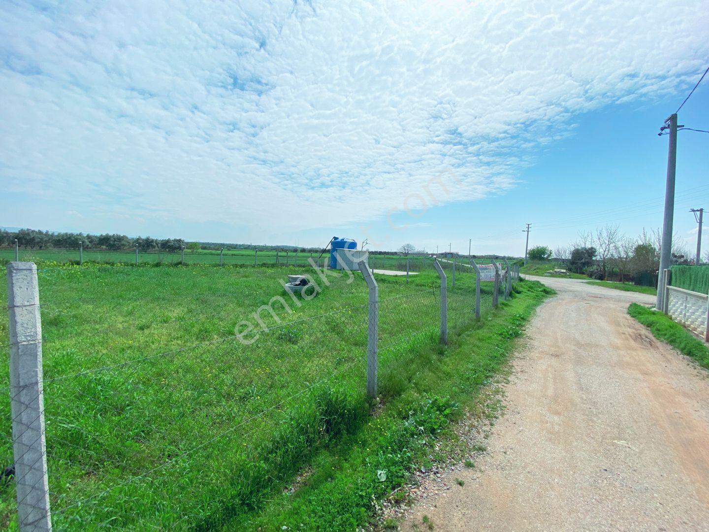 Mendereste Net 500 M2 Yapı Kayıt Belgeli (açıklamayı Okuyun) - Görsel 34