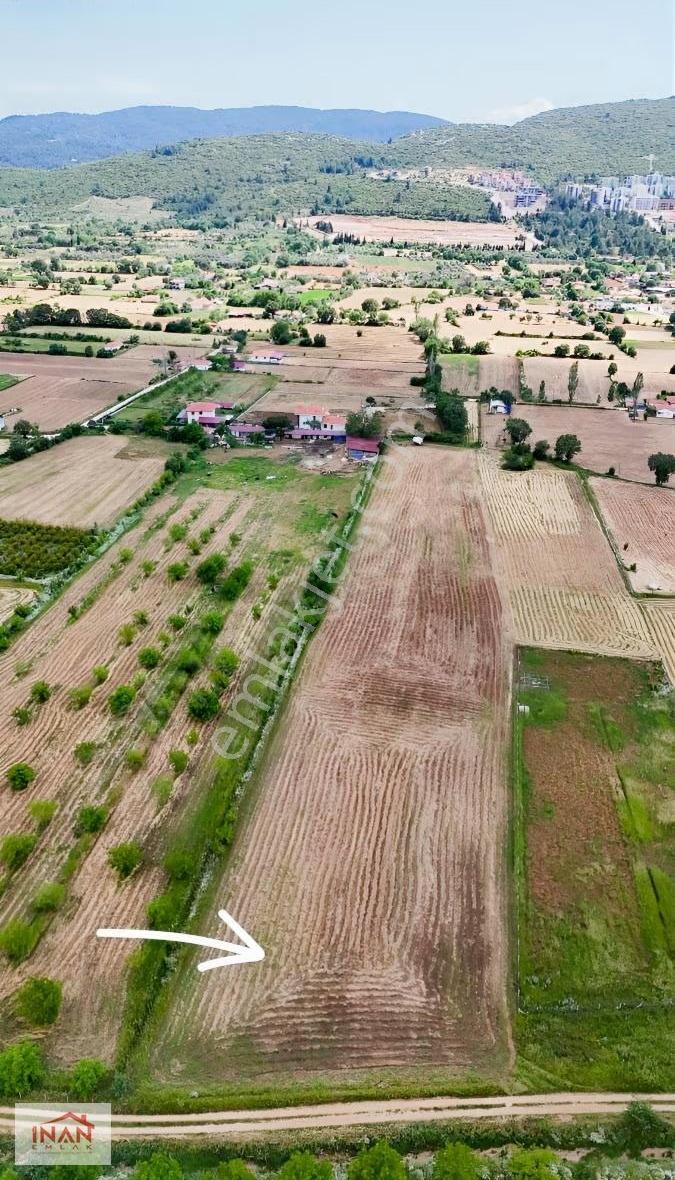 Yerkesik Yaylası'nda 7.5 Dönüm %5 İmarlı Arazi - Görsel 4