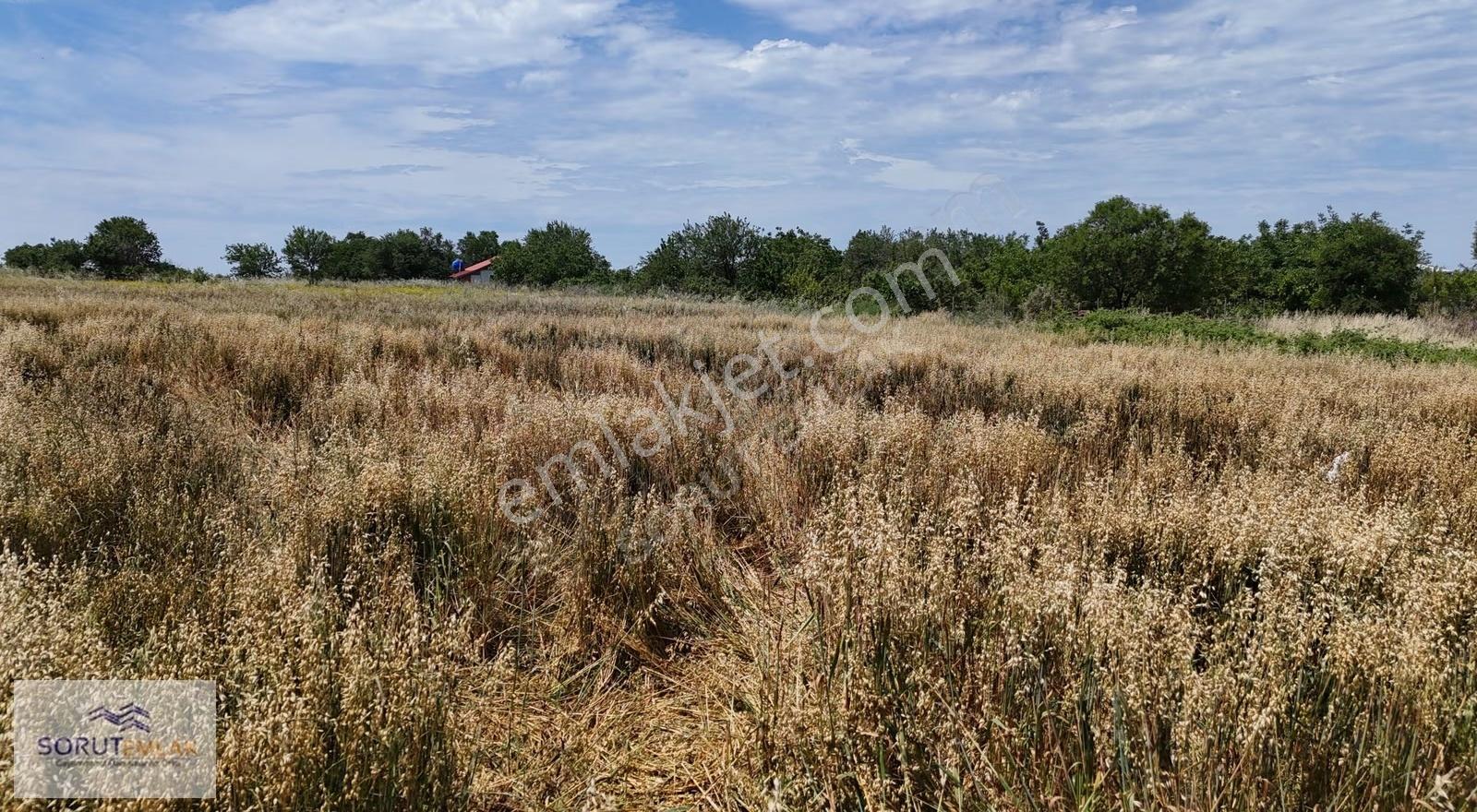 Çeltik Köyü'nde Satılık 1.672,99 M² Müstakil Tapulu Tarla - Görsel 4
