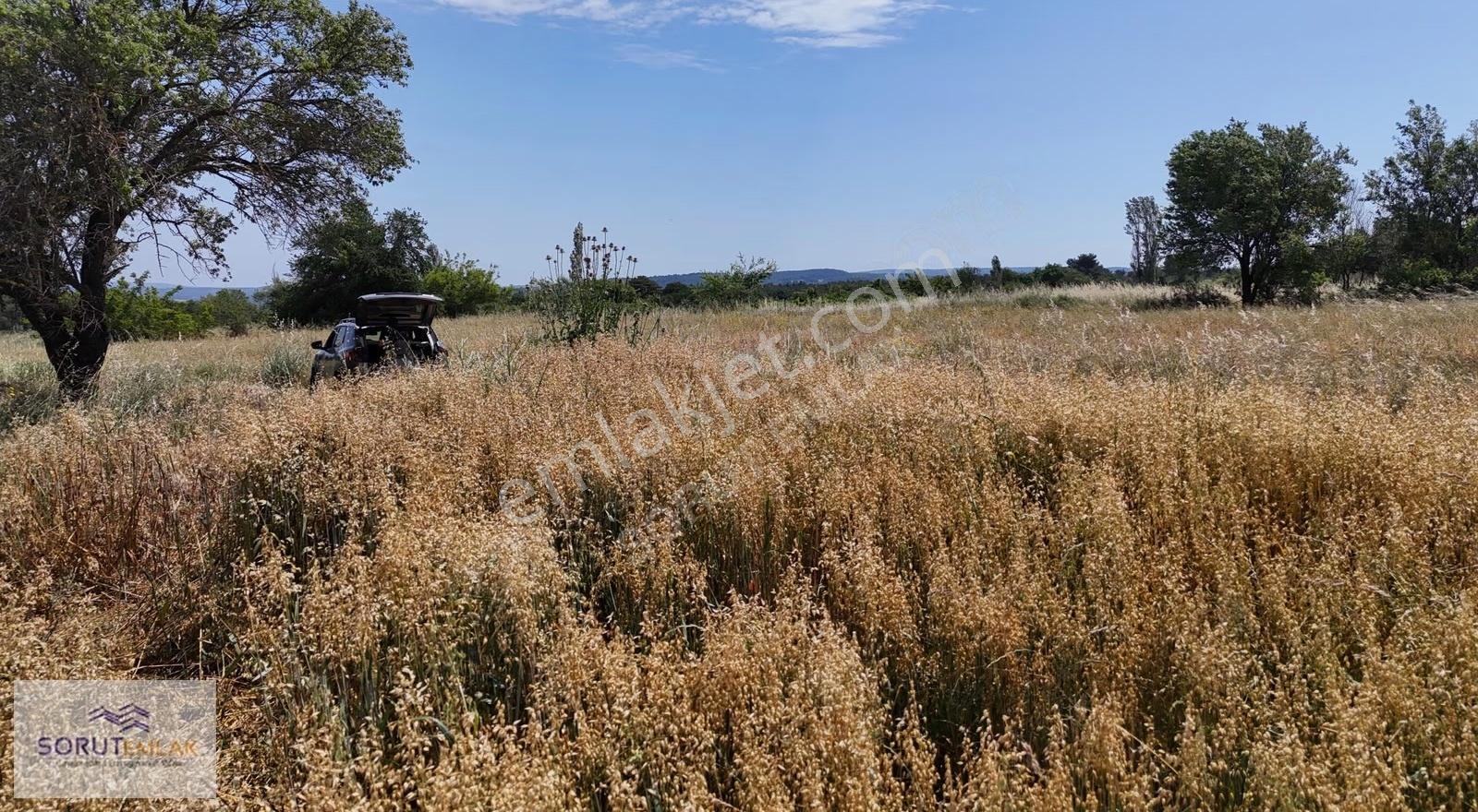 Çeltik Köyü'nde Satılık 1.672,99 M² Müstakil Tapulu Tarla - Görsel 16