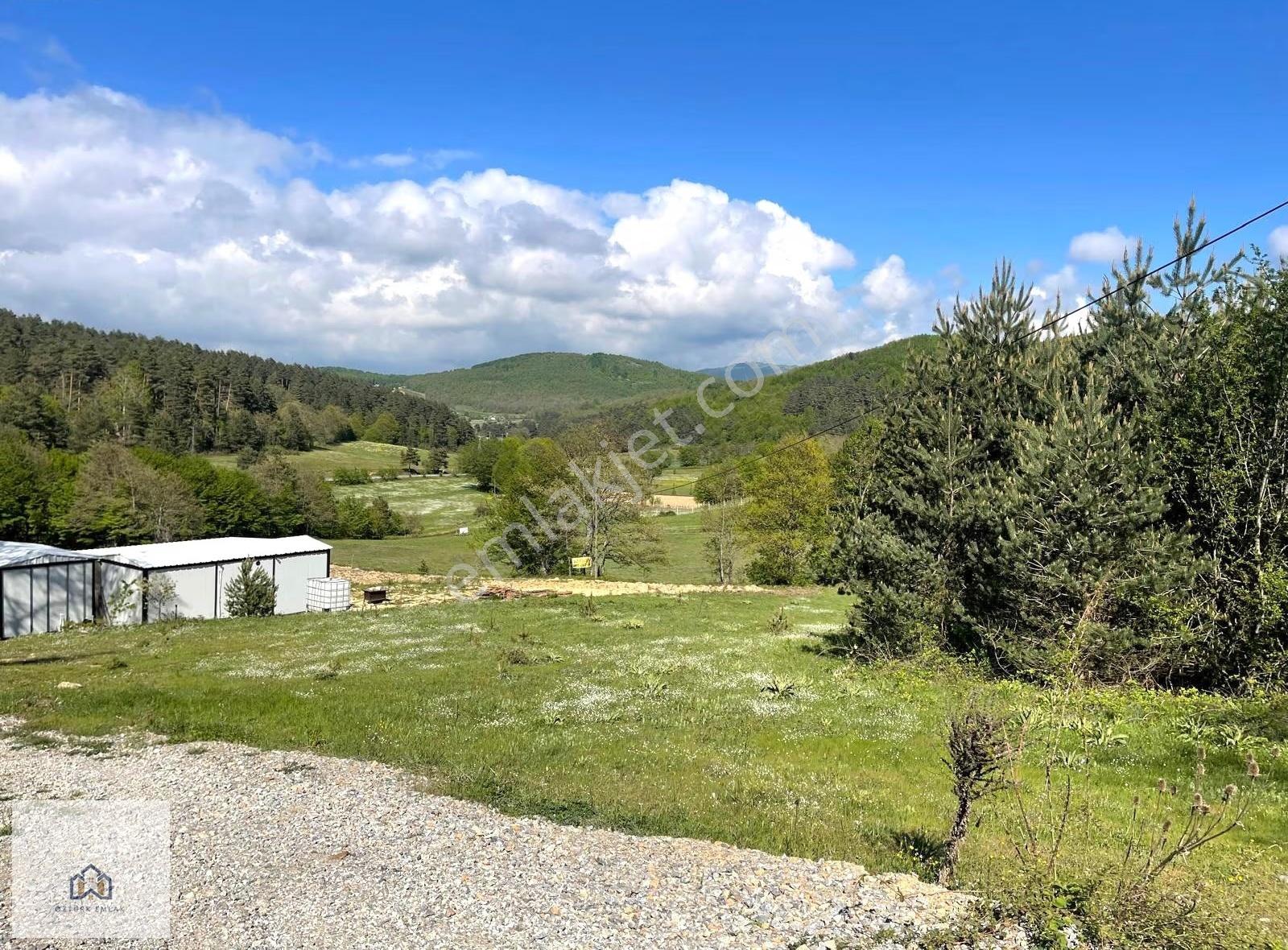 İznik Candarlıda Ev Yapılabilen Resmi Yola Cephe 6500m2 Arazi - Görsel 2