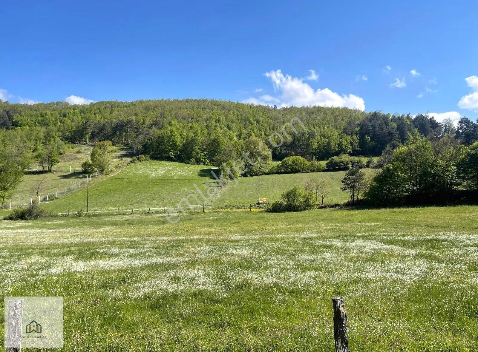 İznik Candarlıda Ev Yapılabilen Resmi Yola Cephe 6500m2 Arazi - Görsel 11