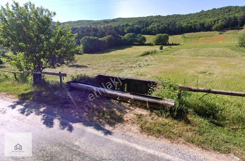 İznik Candarlıda Ev Yapılabilen Resmi Yola Cephe 6500m2 Arazi - Görsel 13