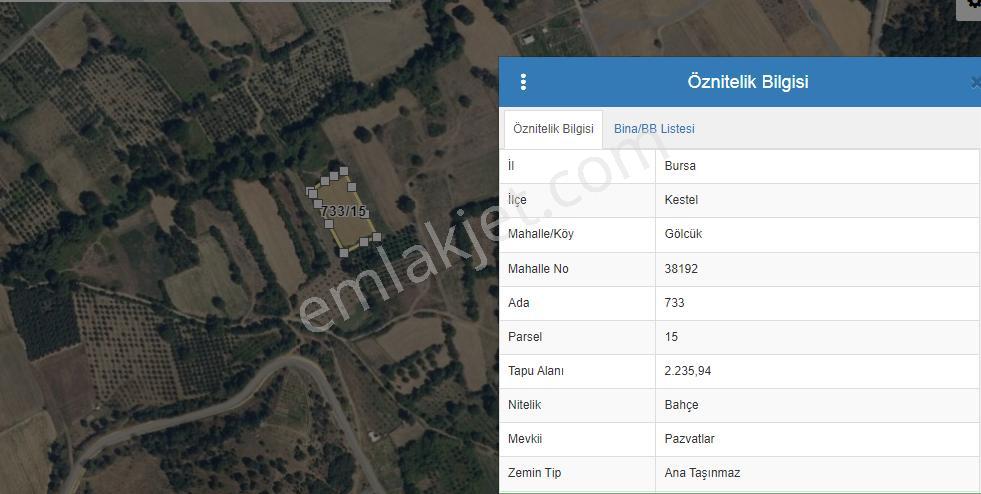 Bursa Kestel Gölcük'te Tek Tapu 2.236-2.305 M2 Satılık Tarlalar - Görsel 3