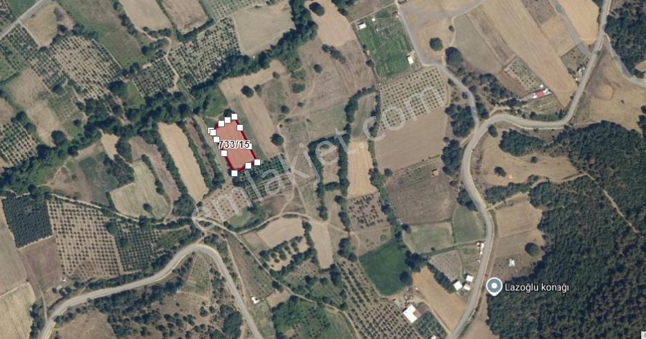 Bursa Kestel Gölcük'te Tek Tapu 2.236-2.305 M2 Satılık Tarlalar - Görsel 2