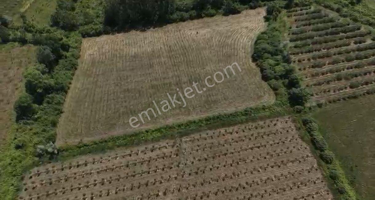 Samsun Terme Ortasöğütlüde Tekliflere Açık Yatırım Fırsatı - Görsel 19
