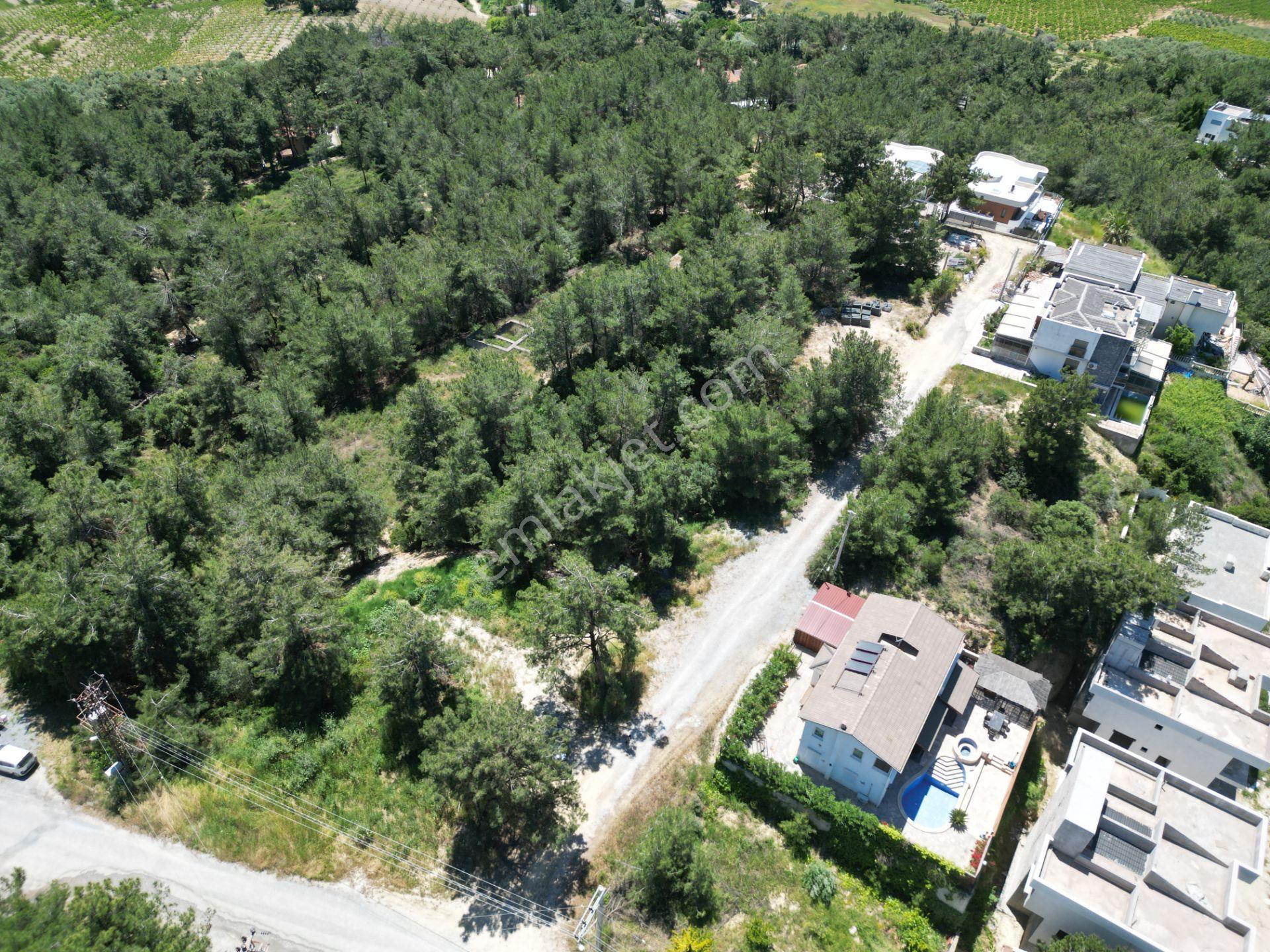 Kuşadası Soğucak Da Fırsat Arsa - Görsel 15