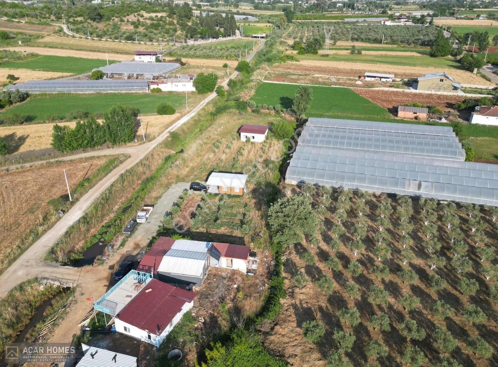 Seydikemer Kabaağaçta 400 M2 Hisseli Tarlamız Yolu Açılmış - Görsel 30
