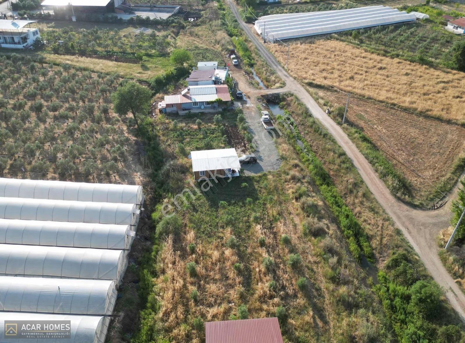 Seydikemer Kabaağaçta 400 M2 Hisseli Tarlamız Yolu Açılmış - Görsel 24