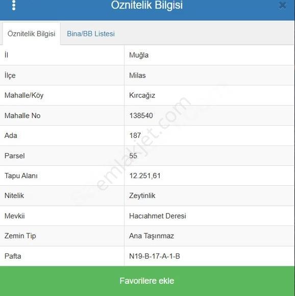 My Gayrimenkul'den Kırcağızda Satılık 12 Dönüm Verimli Zeytinlik - Görsel 2