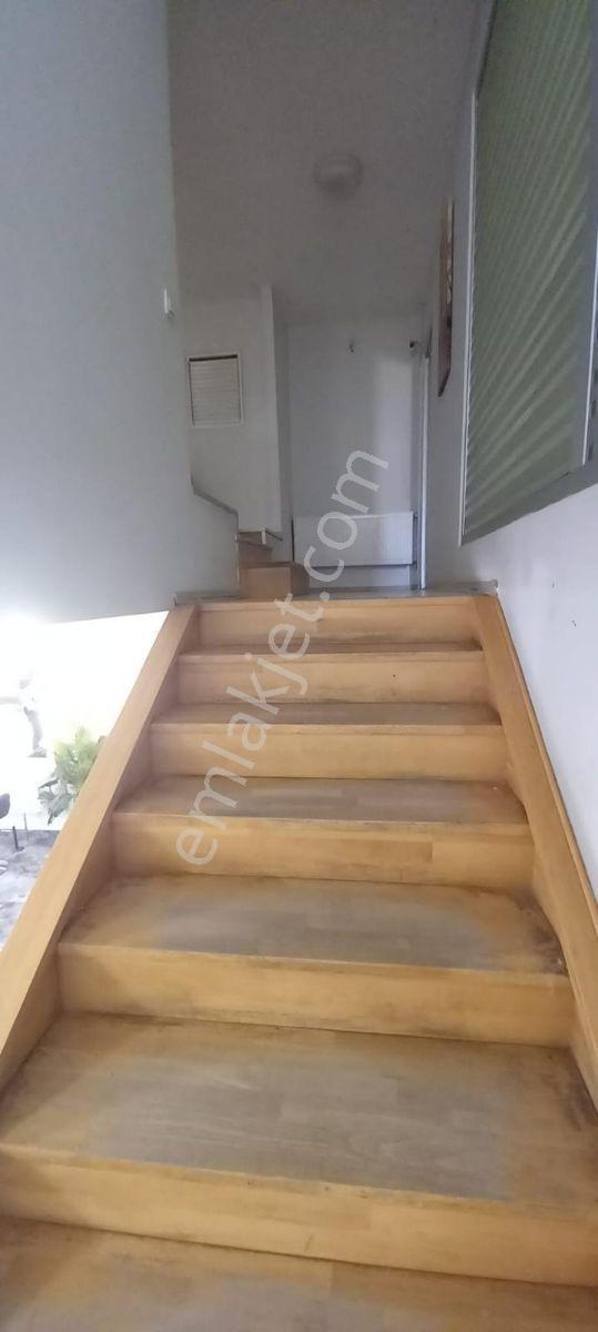 K.ören Botanik Park Cepheli 150 M2 Dükkan - Görsel 14