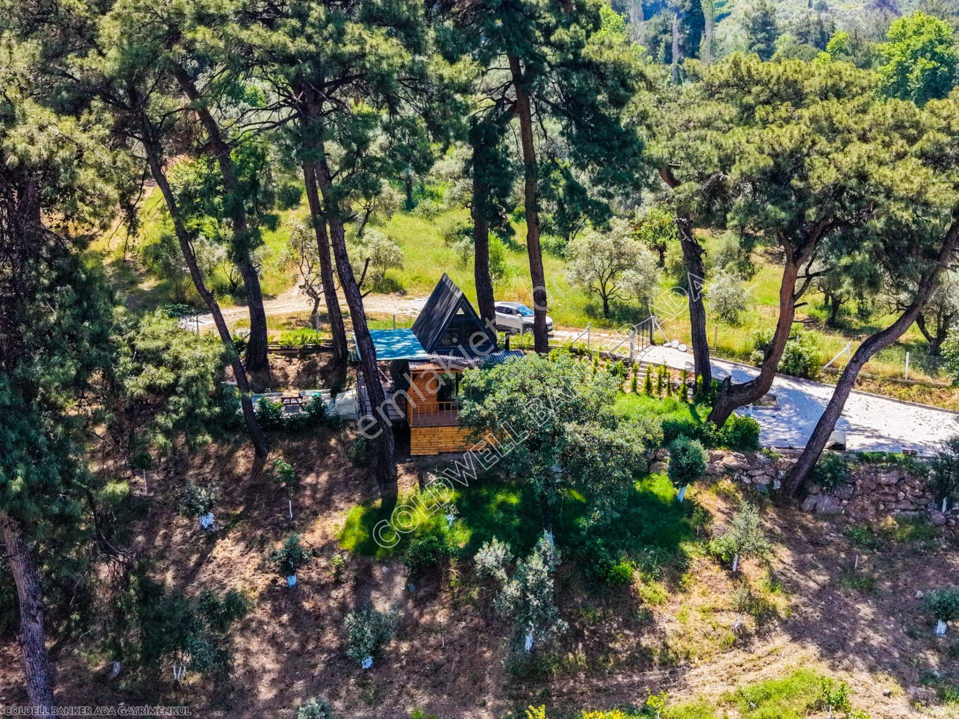 İzmir Gökçealanda 9 Dönüm Doğa İçerisinde Satılık Çiftlik Evi - Görsel 13