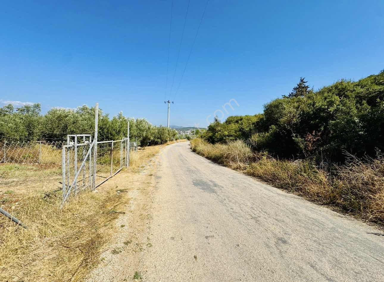 Mudanya Esencede Satılık Arsa - Görsel 2