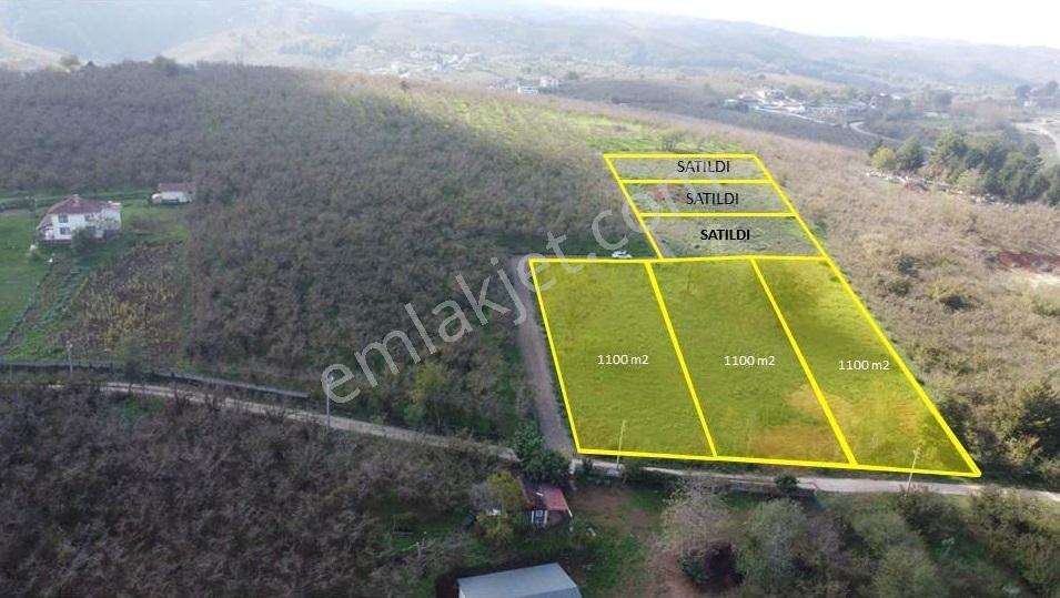 Köy İçinde Deniz Manzaralı Projeli Ve Ruhsatlı Satılık Arsa