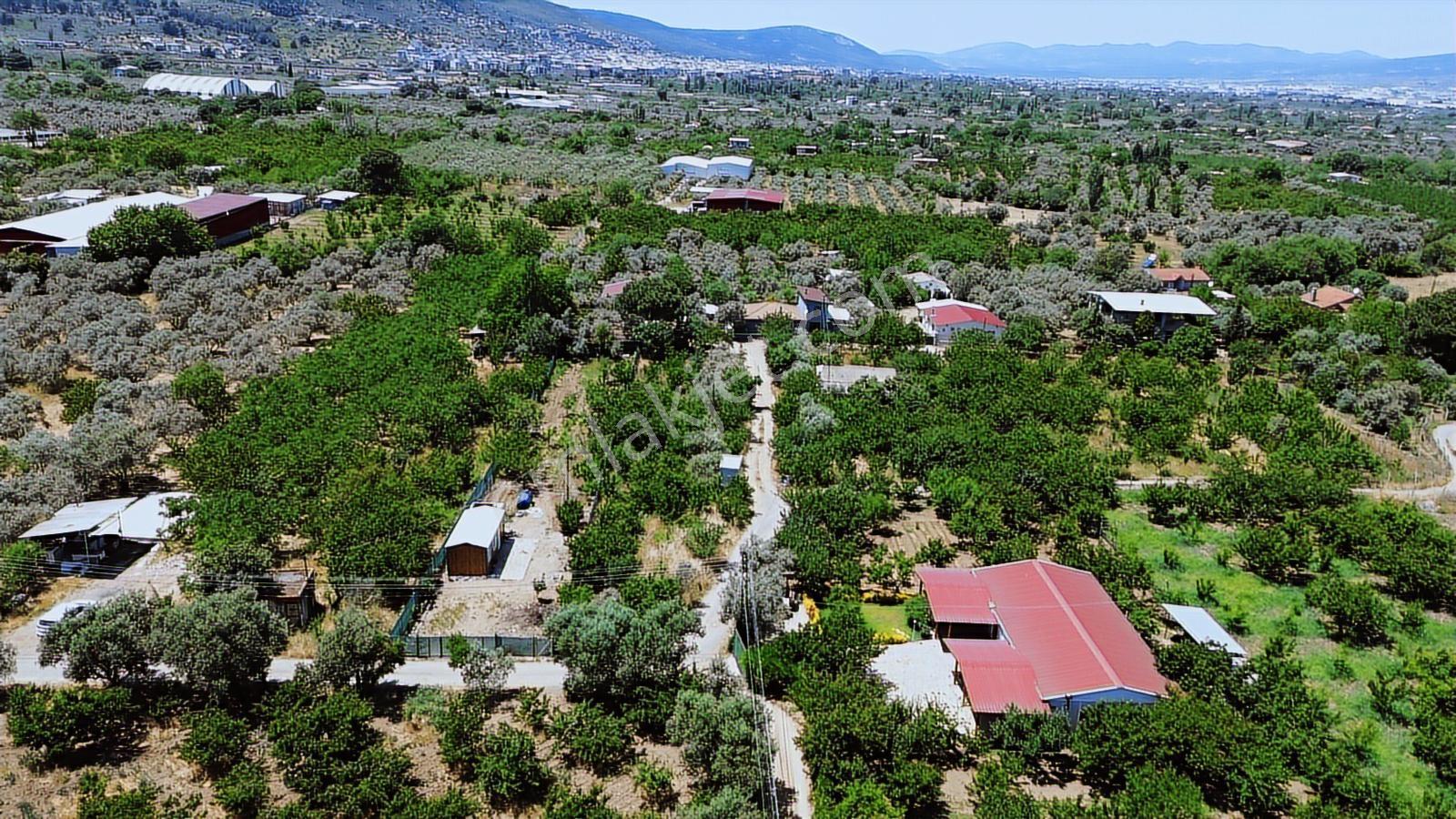 Erz'den Kemalpaşa M.akif Ersoy M.h Köşe Parsel Fırsat Arazi - Görsel 9