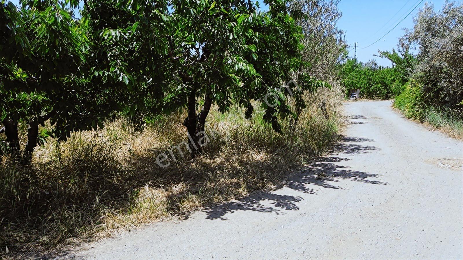 Erz'den Kemalpaşa M.akif Ersoy M.h Köşe Parsel Fırsat Arazi - Görsel 5