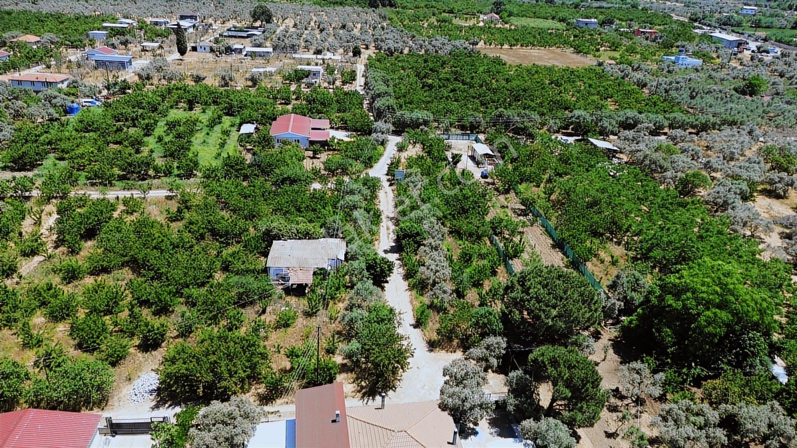Erz'den Kemalpaşa M.akif Ersoy M.h Köşe Parsel Fırsat Arazi - Görsel 19