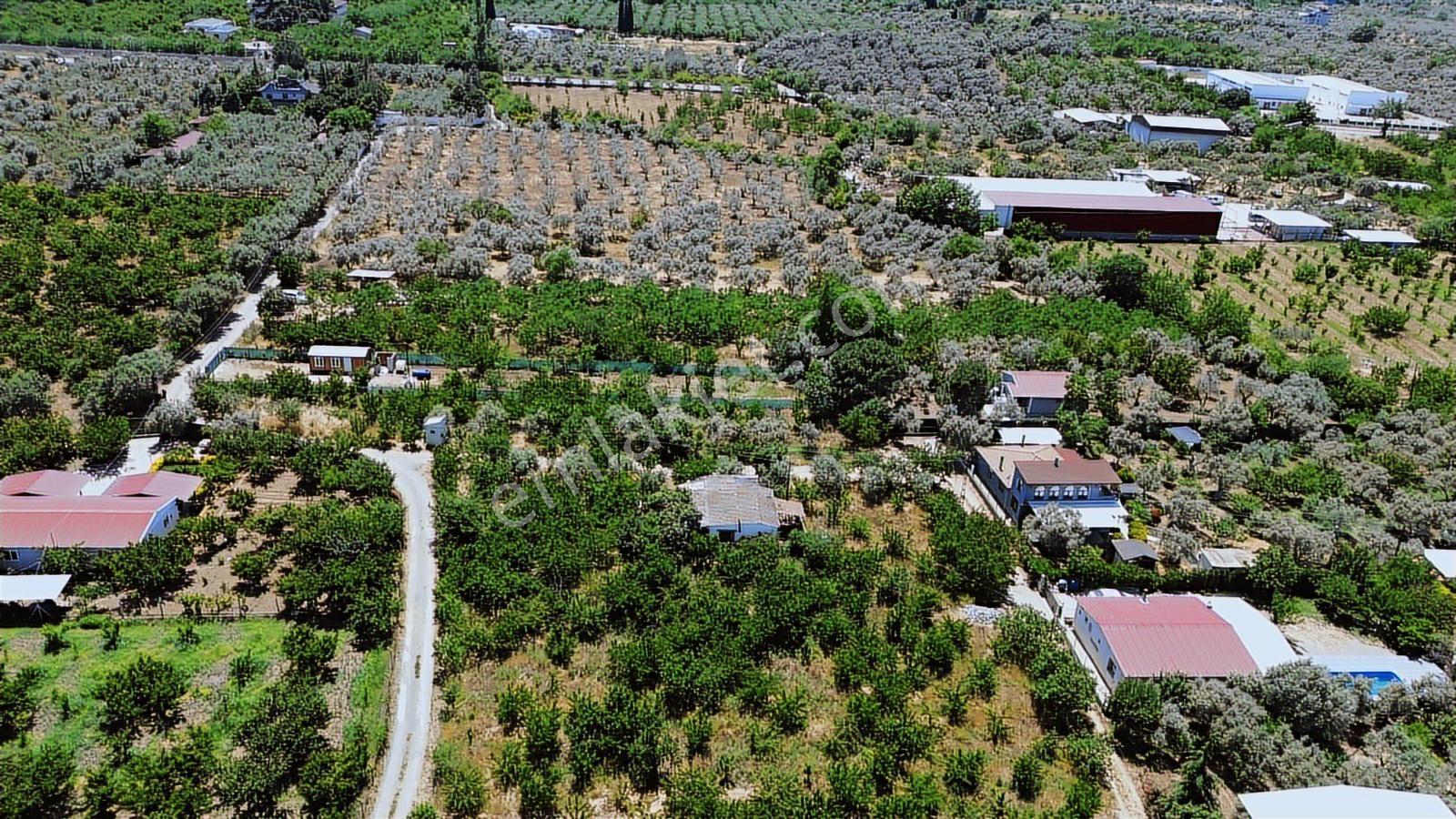 Erz'den Kemalpaşa M.akif Ersoy M.h Köşe Parsel Fırsat Arazi - Görsel 25