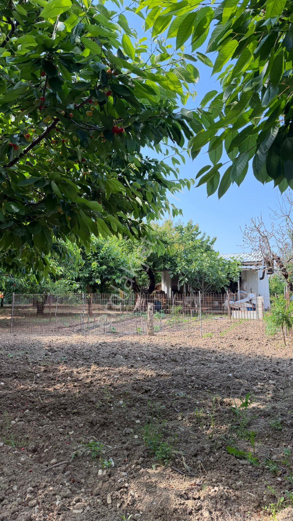 Uncu Bozköy Mh Ormanın İçinde Saklı Çennet Bahçesi - Görsel 11