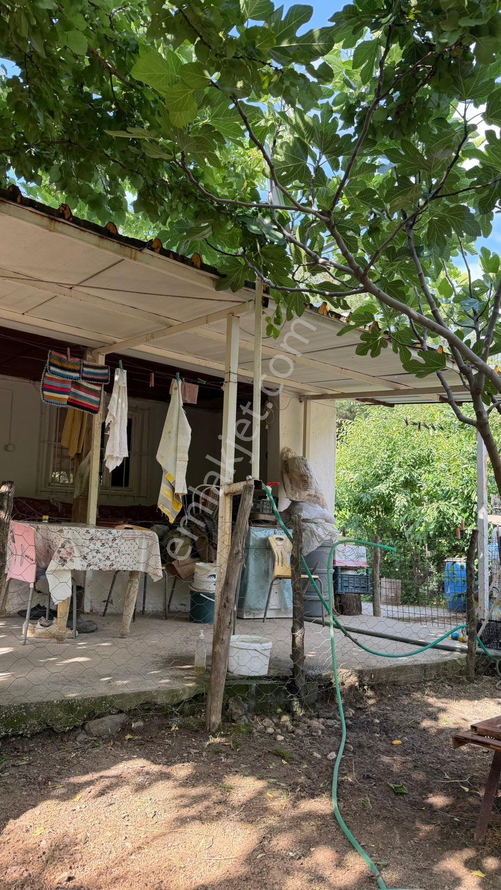 Uncu Bozköy Mh Ormanın İçinde Saklı Çennet Bahçesi - Görsel 18