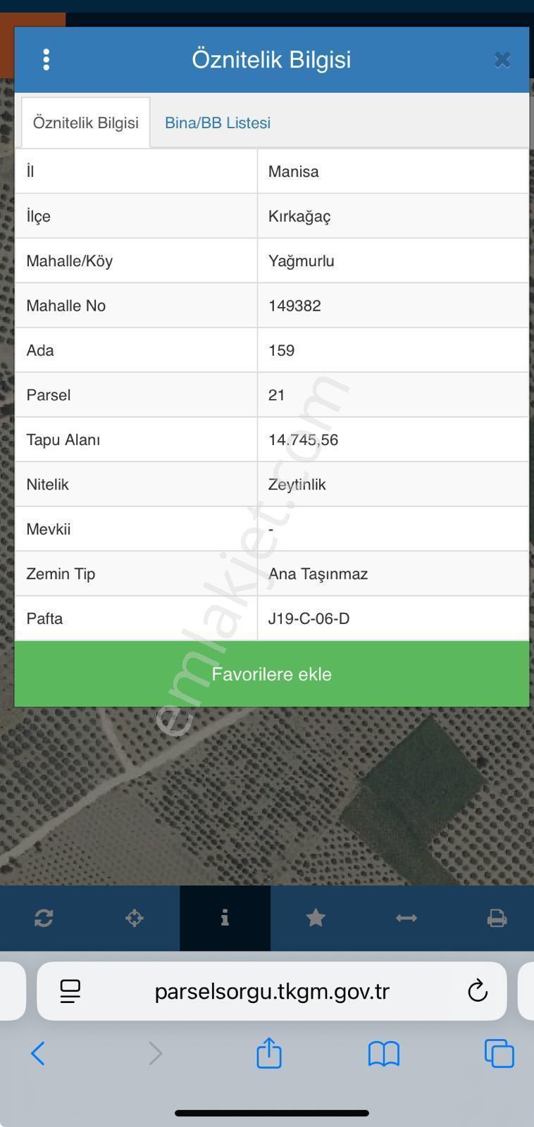 Satılık Zeytinlik Ve Tarla – Manisa Kırkağaç Yağmurlu Mahallesi ! - Görsel 15