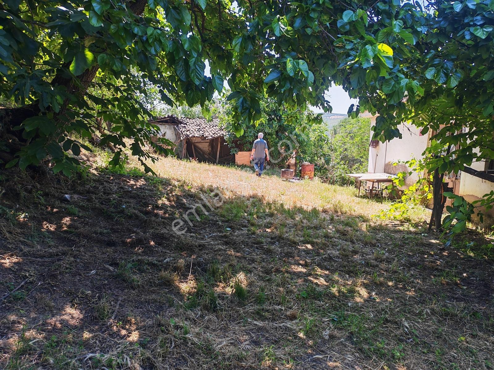 2.500 M² Dereköy'de Zeytinlikle Müstakil Köy Evi Doğa Ve Huzur - Görsel 21