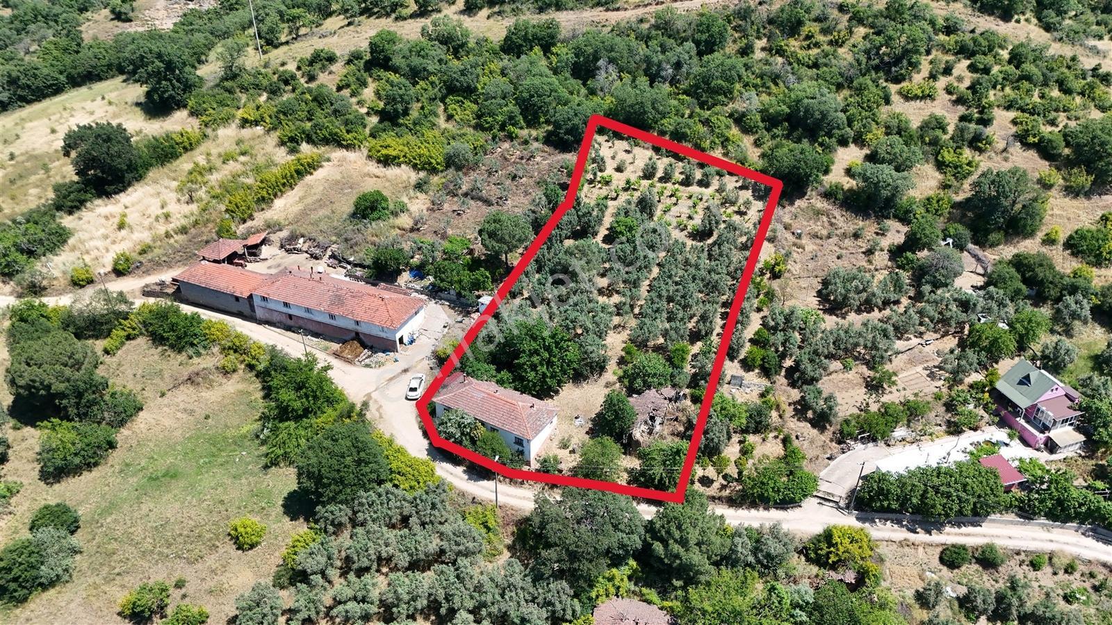 2.500 M² Dereköy'de Zeytinlikle Müstakil Köy Evi Doğa Ve Huzur - Görsel 16