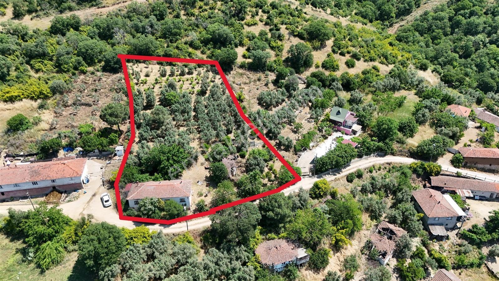 2.500 M² Dereköy'de Zeytinlikle Müstakil Köy Evi Doğa Ve Huzur - Görsel 14