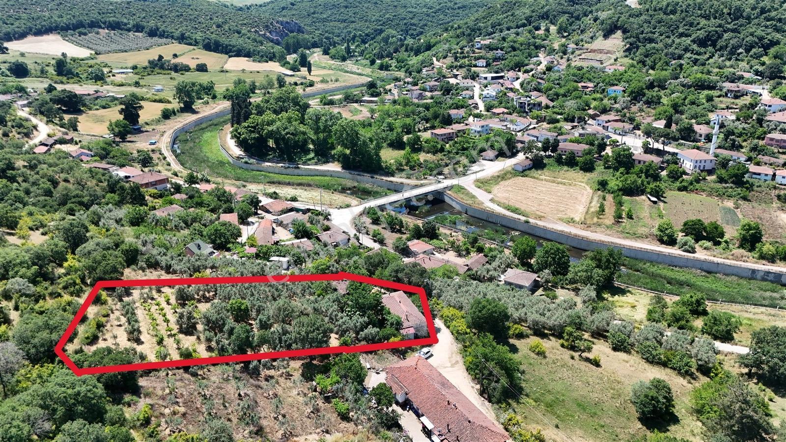 2.500 M² Dereköy'de Zeytinlikle Müstakil Köy Evi Doğa Ve Huzur - Görsel 31