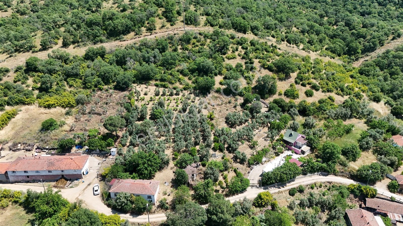 2.500 M² Dereköy'de Zeytinlikle Müstakil Köy Evi Doğa Ve Huzur - Görsel 22