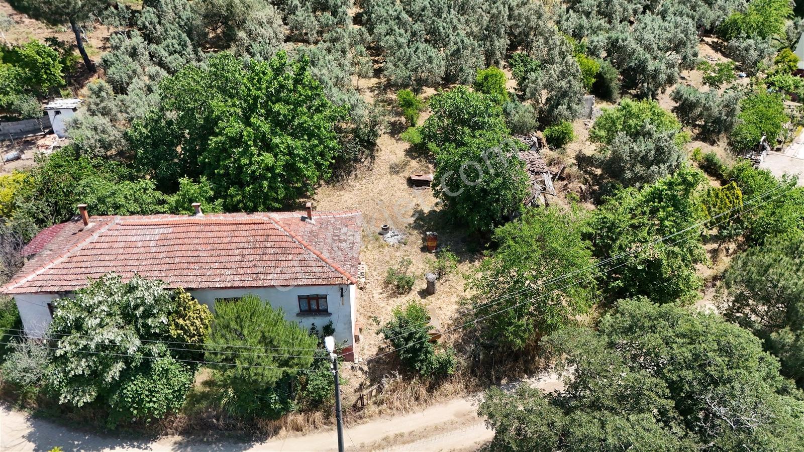 2.500 M² Dereköy'de Zeytinlikle Müstakil Köy Evi Doğa Ve Huzur - Görsel 34