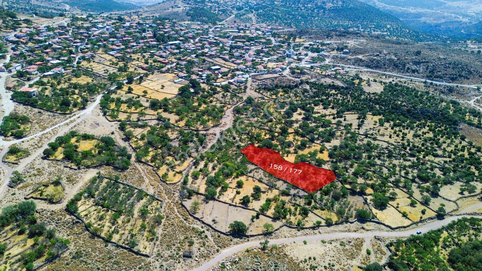 Yunusemre Dağyenice Mahallesinde Satılık Tarlalar - Görsel 3