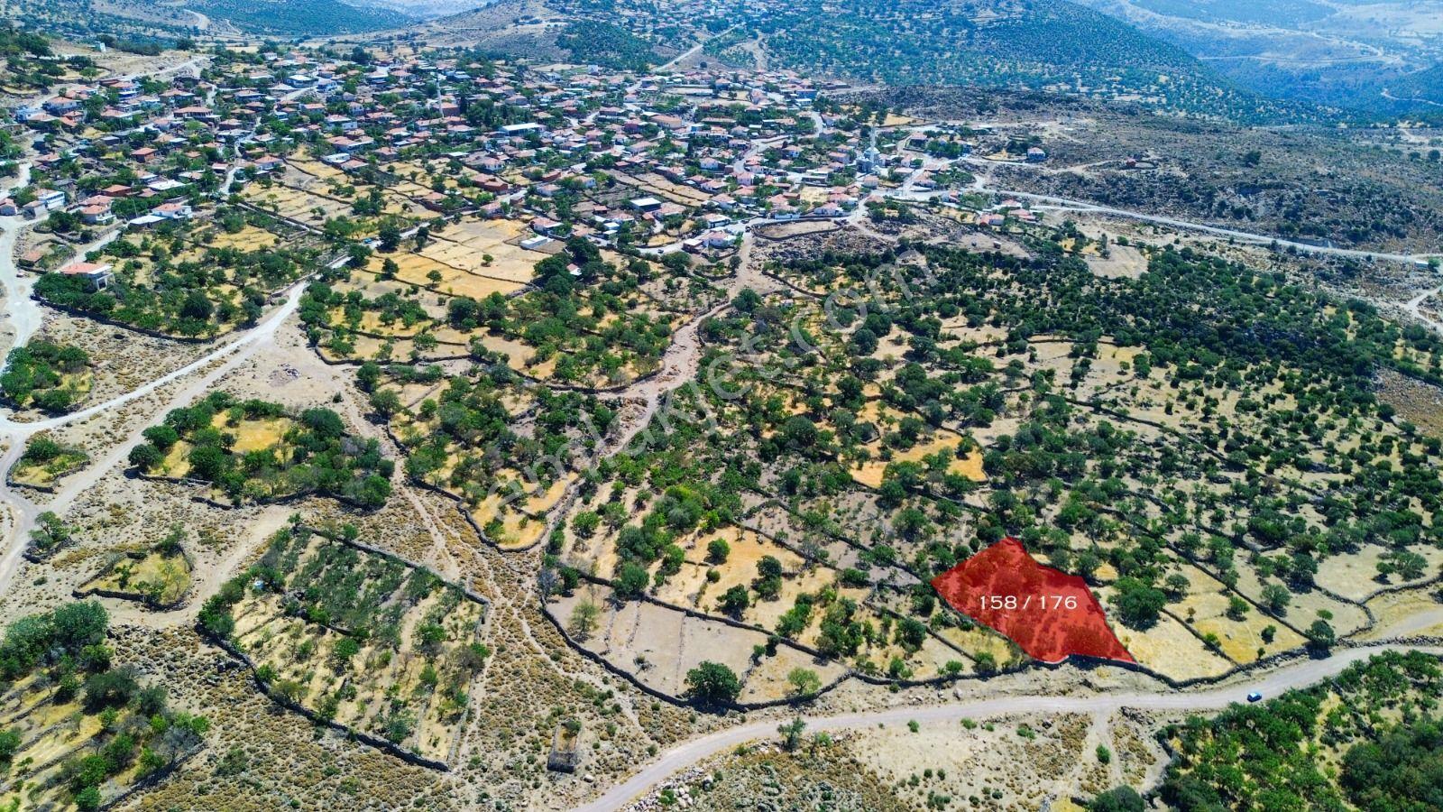Yunusemre Dağyenice Mahallesinde Satılık Tarlalar - Görsel 11