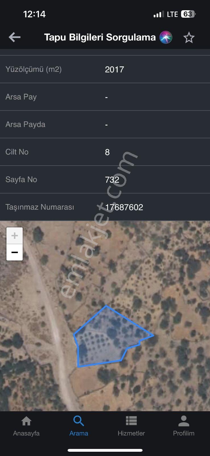 Yunusemre Dağyenice Mahallesinde Satılık Tarlalar - Görsel 9